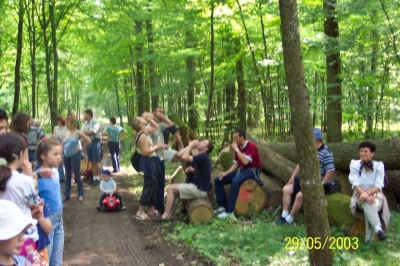 bild_5